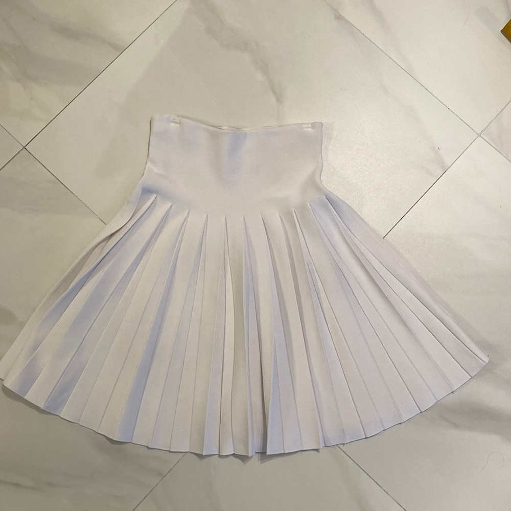 Apparalel pleated accordion skirt